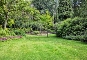 Optimiser l'expérience du jardin à Saint-Sulpice-des-Rivoires